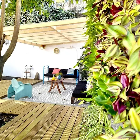 Orange Tree House