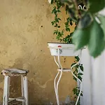 Orange Tree House