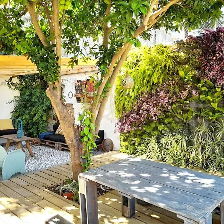 アパート Orange Tree House