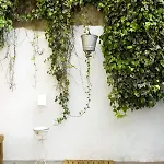 Orange Tree House Апартаменты Лиссабон