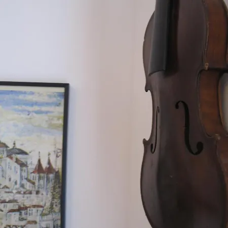 Daire Orange Tree House