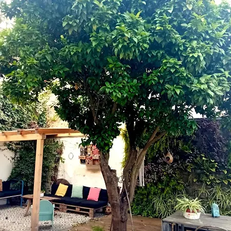 アパート Orange Tree House *