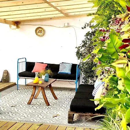 Apartment Orange Tree House