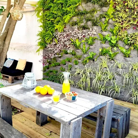 Orange Tree House *