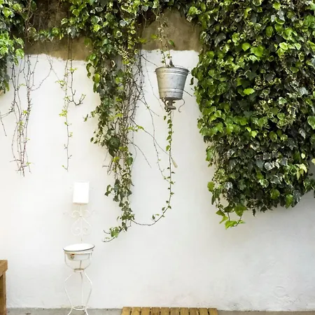 Orange Tree House Apartment Lissabon